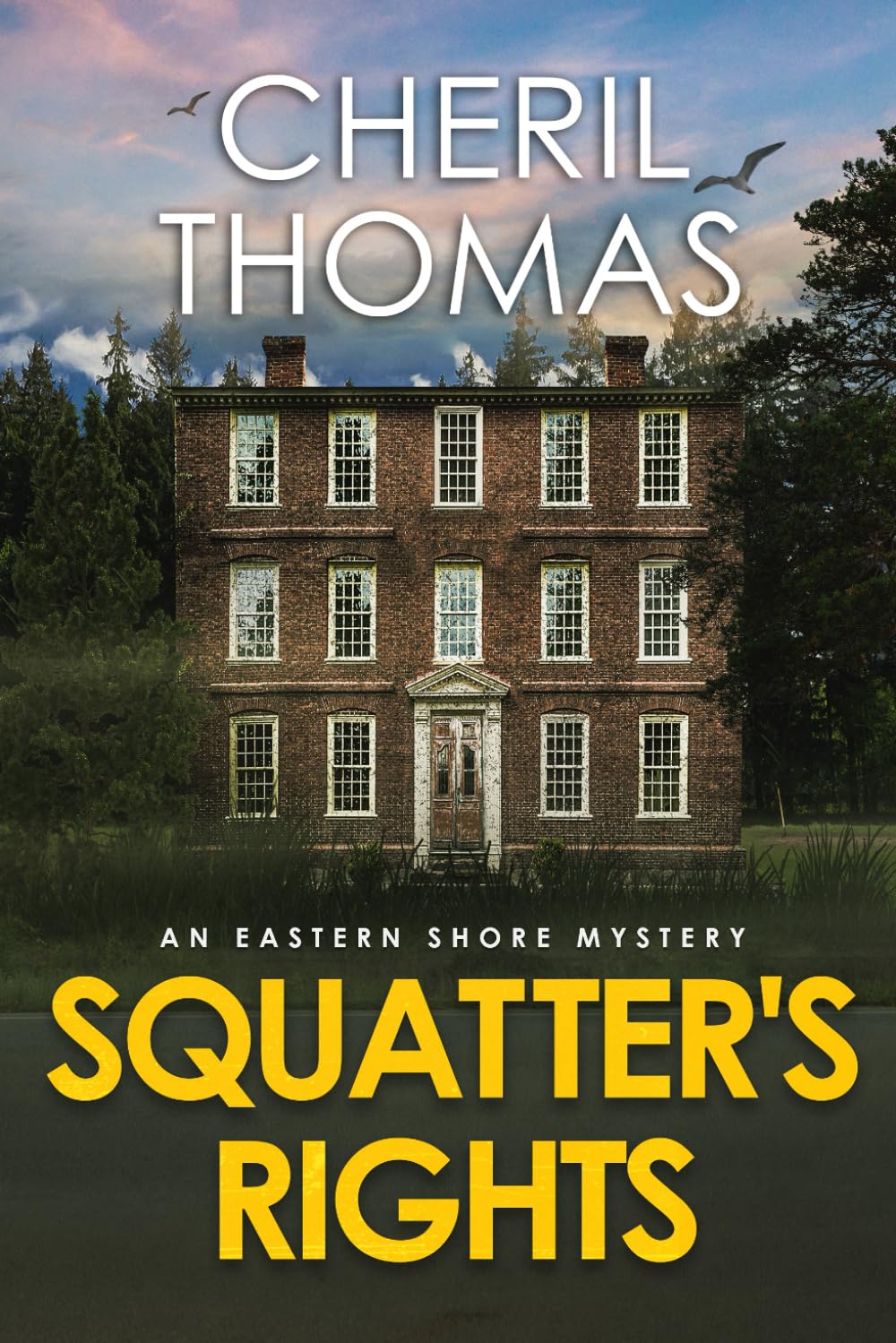 Squatter's Rights: An Eastern Shore Mystery (The Eastern Shore Mysteries)