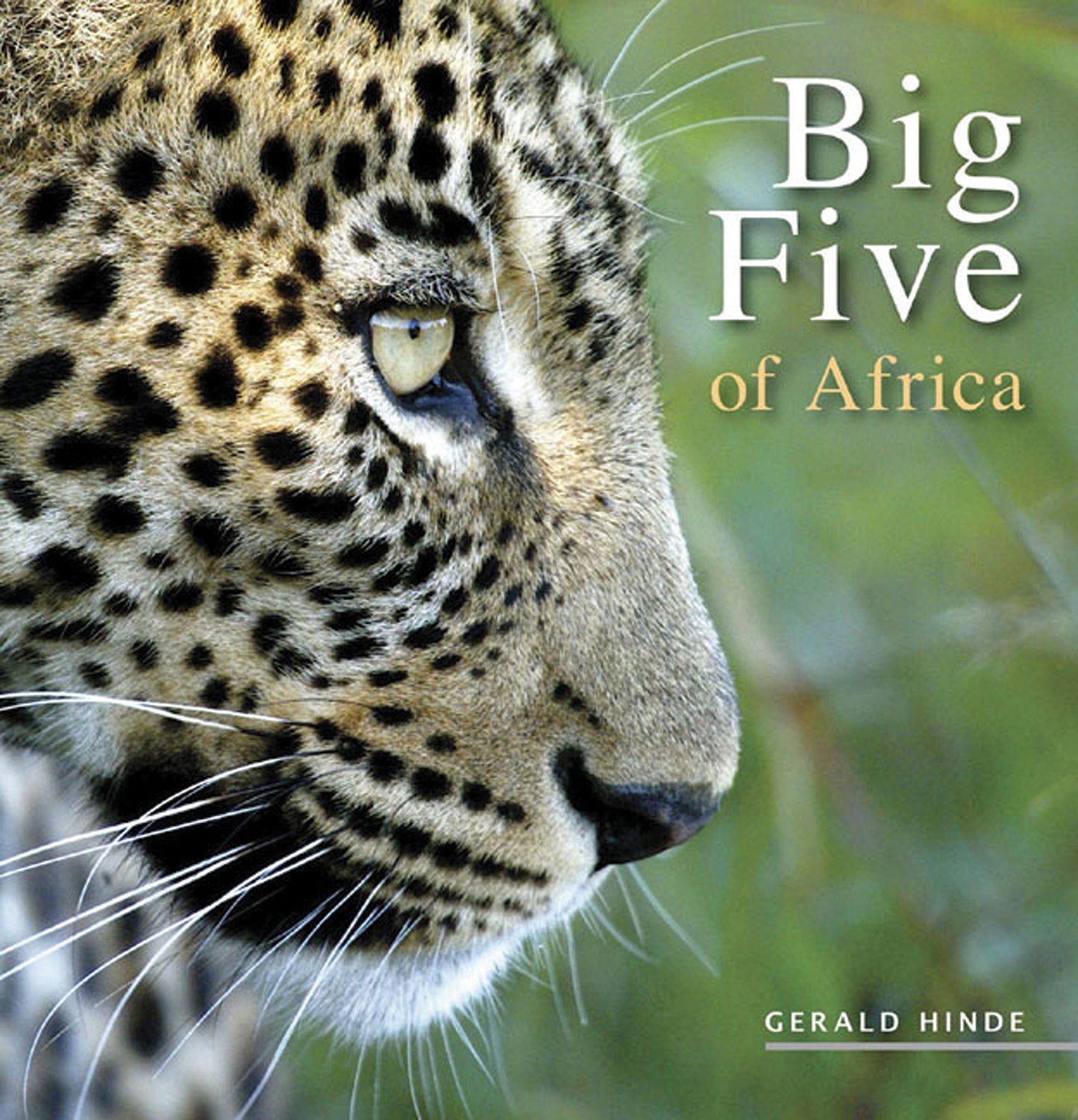 Big Five of Africa - 419
