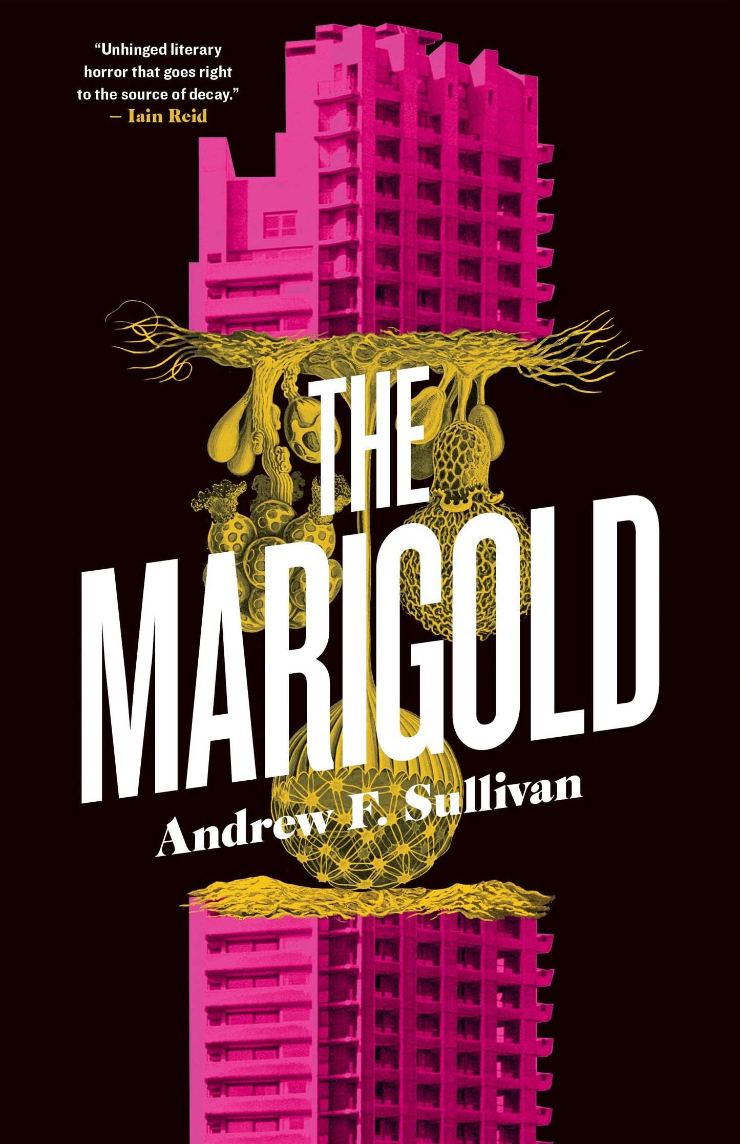 The Marigold - 7687