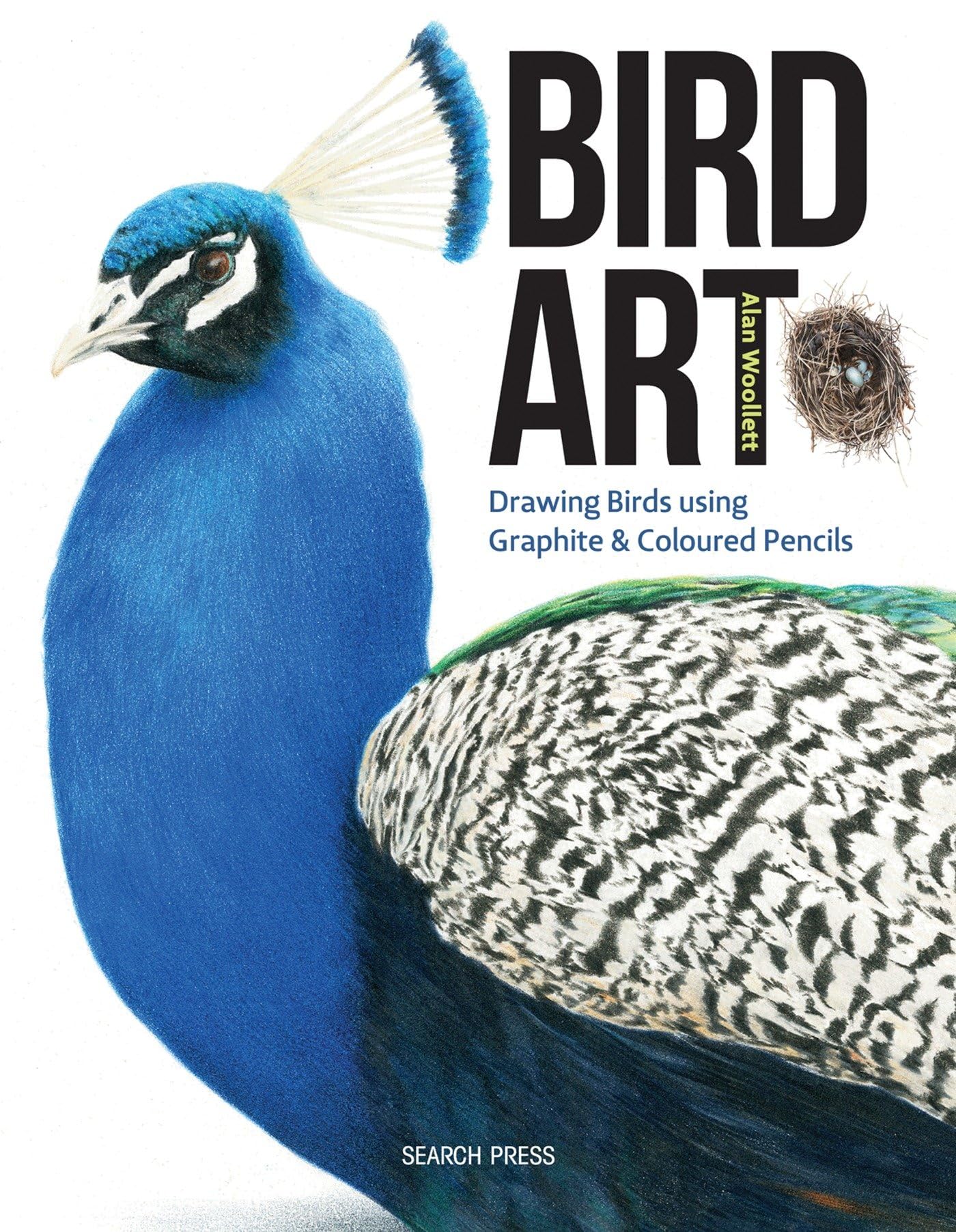 Bird Art: Using Graphite and Coloured Pencils - 7909