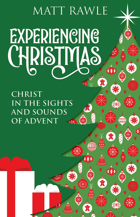 Experiencing Christmas - 6673