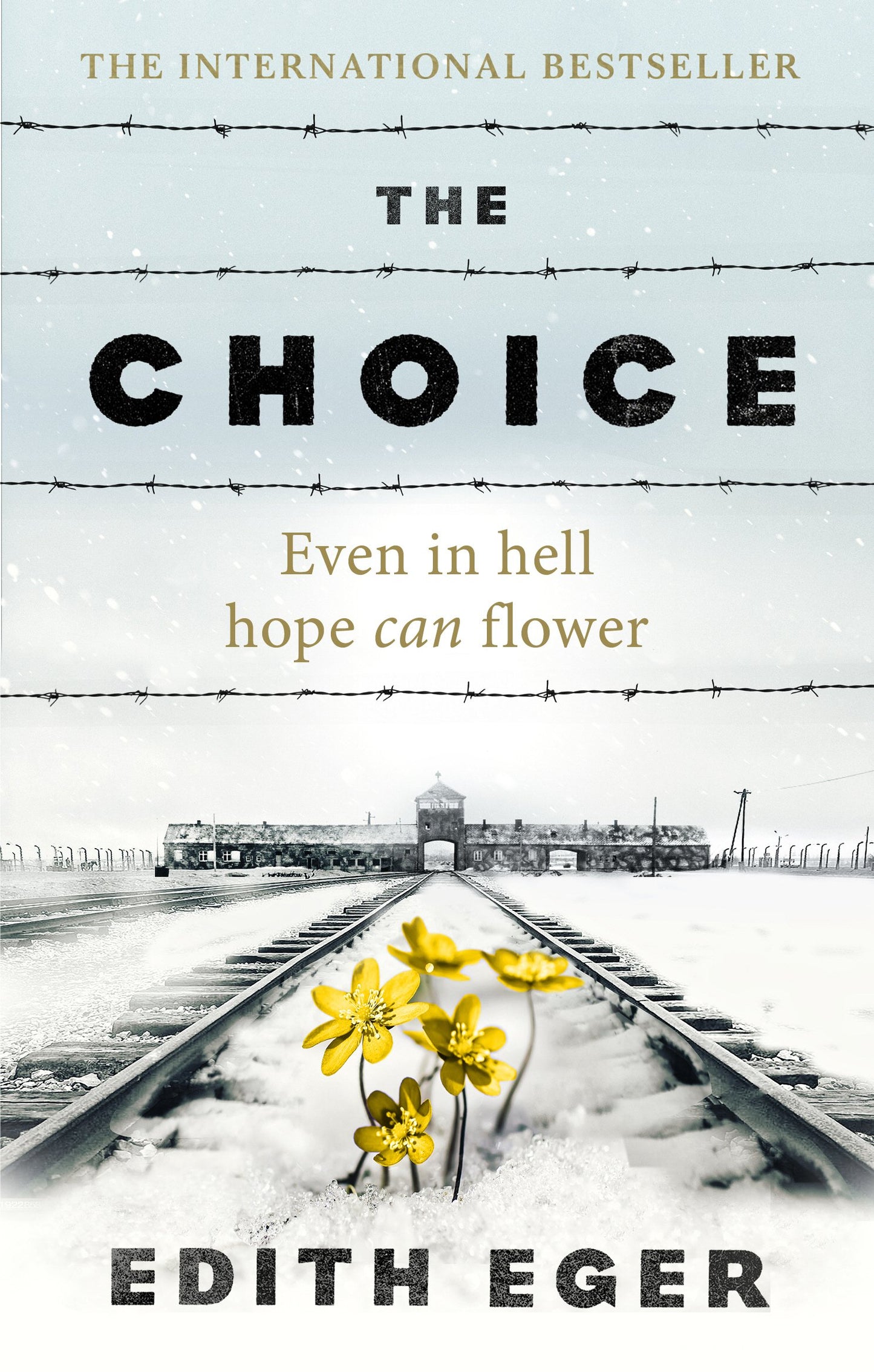 The choice