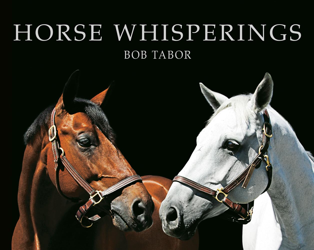 Horse Whisperings: Portraits by Bob Tabor - 7854
