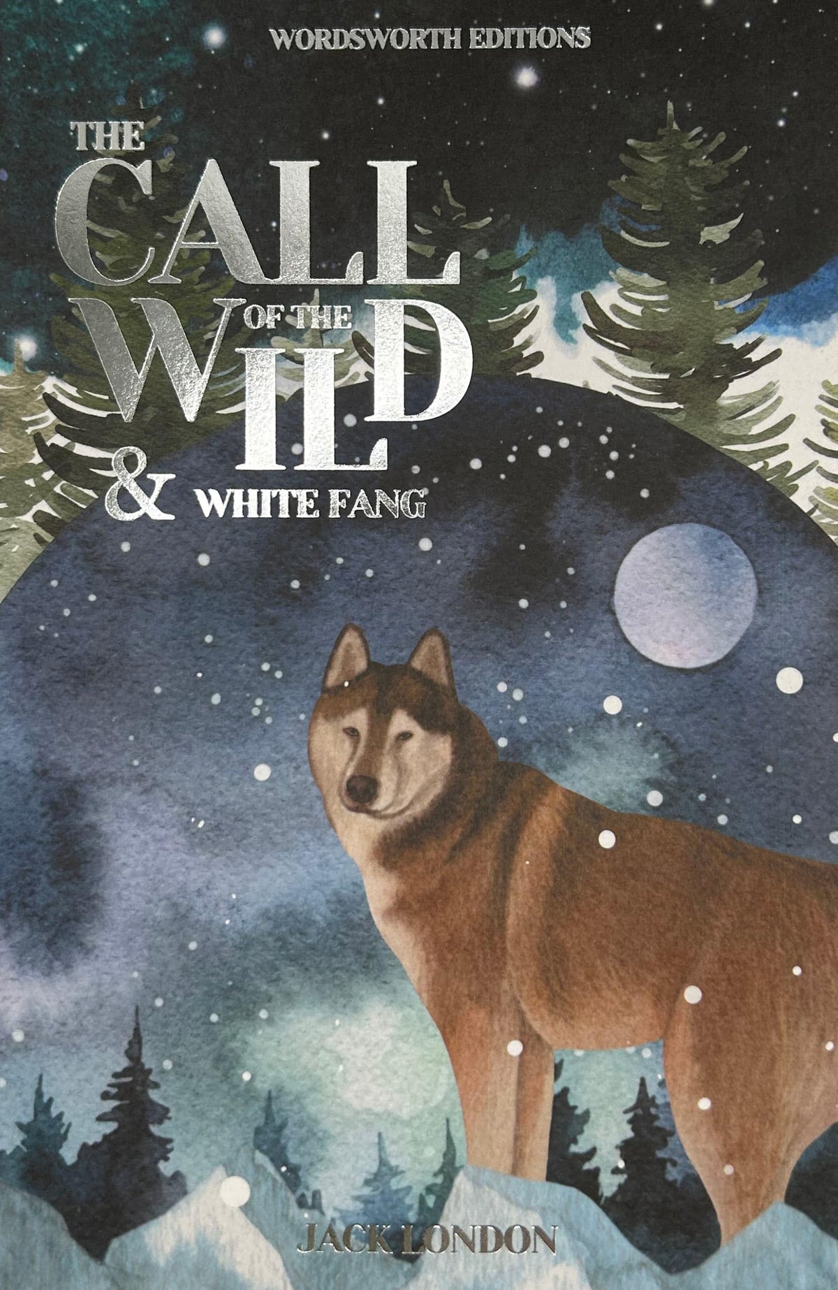 Call of the Wild and White Fang (Wordsworth Classics)
