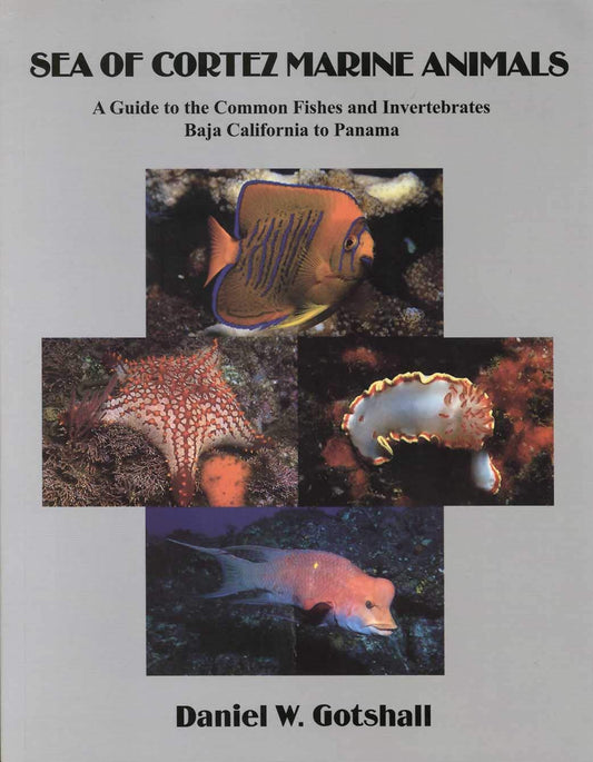 Sea of Coretz Marine Animals