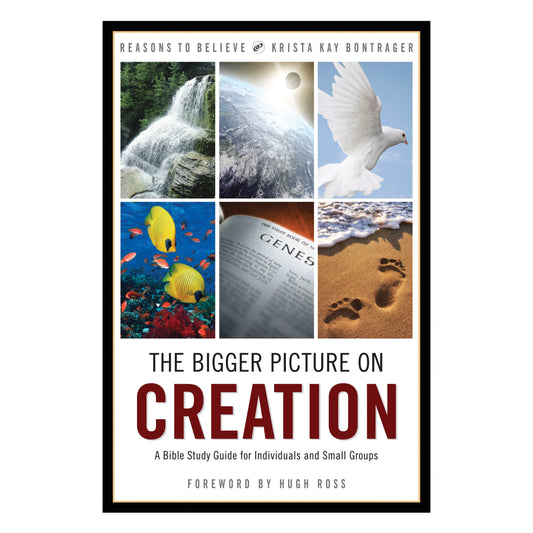The Bigger Picture on Creation: A Bible Study Guide for Individuals and Small Groups