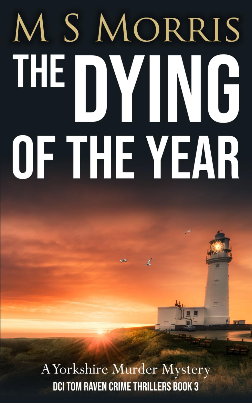The Dying of the Year: A Yorkshire Murder Mystery (DCI Tom Raven Crime Thrillers) - 146