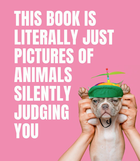 This Book is Literally Just Pictures of Animals Silently Judging You - 990