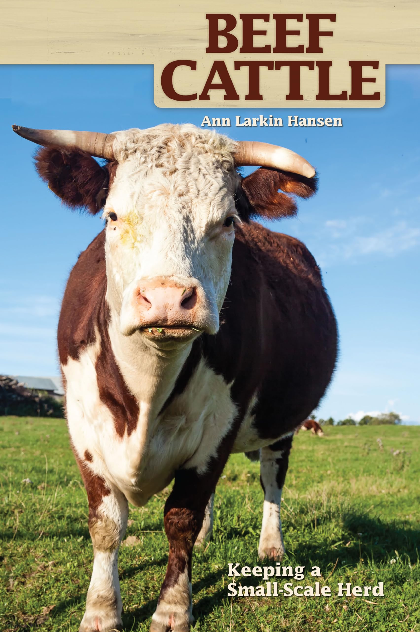 Beef Cattle: Keeping a Small-Scale Herd (CompanionHouse Books) Practic ...