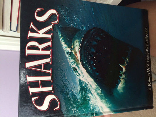 Sharks