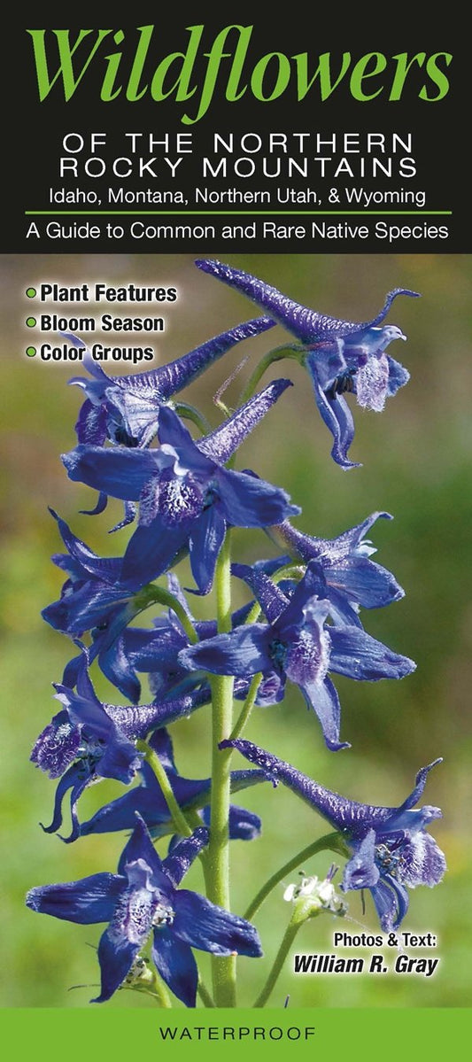 Wildflowers of the Northern Rocky Mountains: Idaho, Montana, Northern Utah, & Wyoming:  A Guide to Common & Rare Native Species