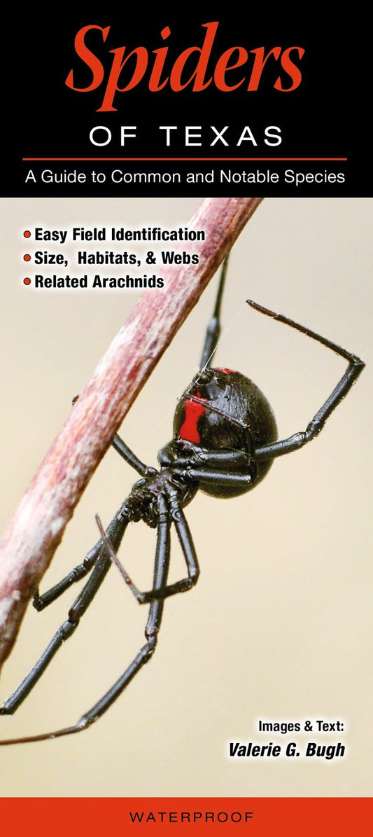 Spiders of Texas: A Guide to Common and Notable Species - 896