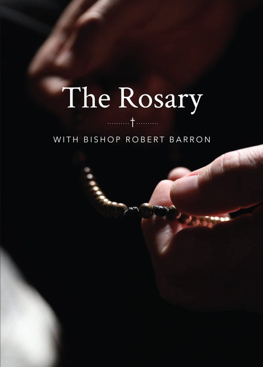 The Rosary with Bishop Barron - 3051