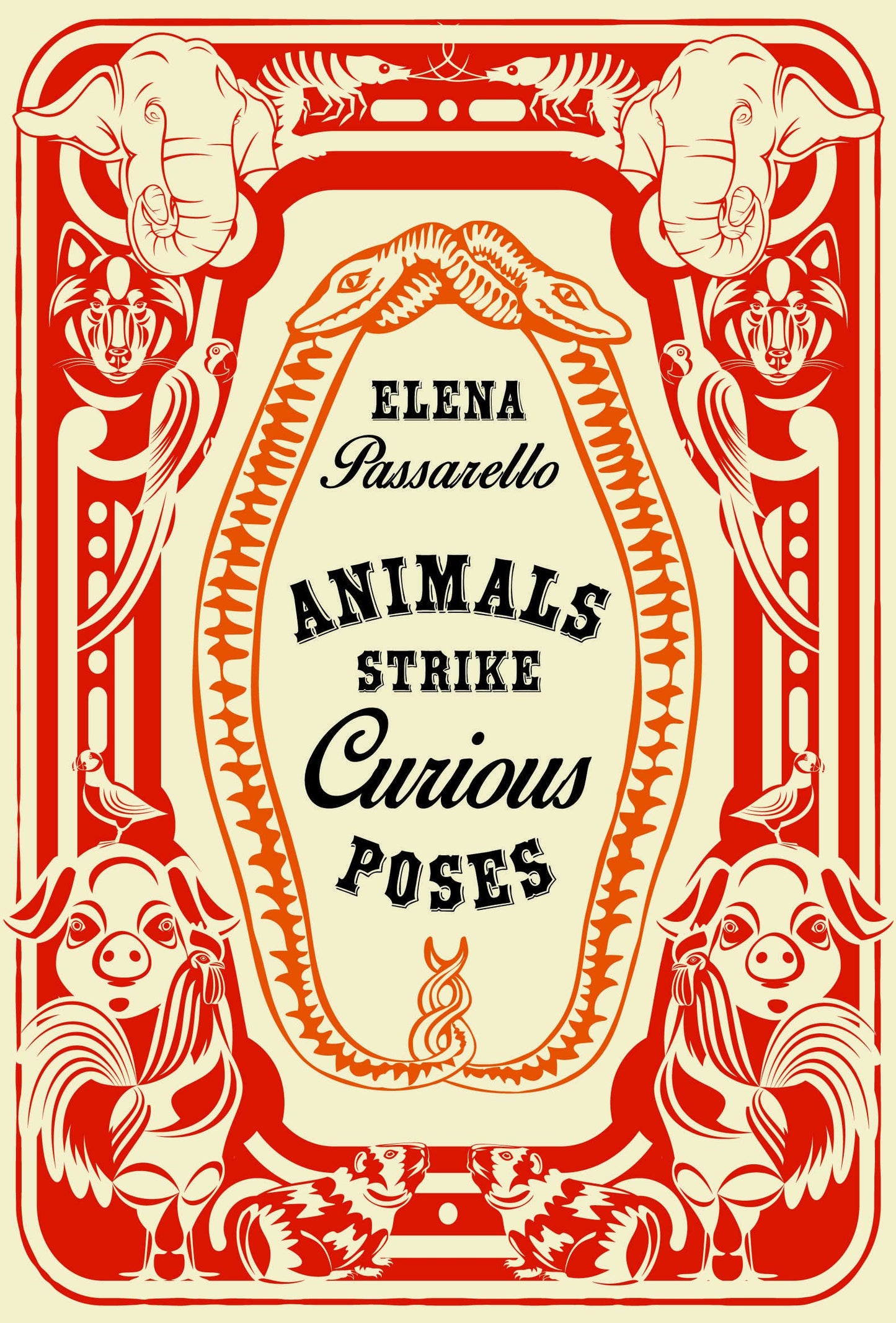 Animals Strike Curious Poses - 9275