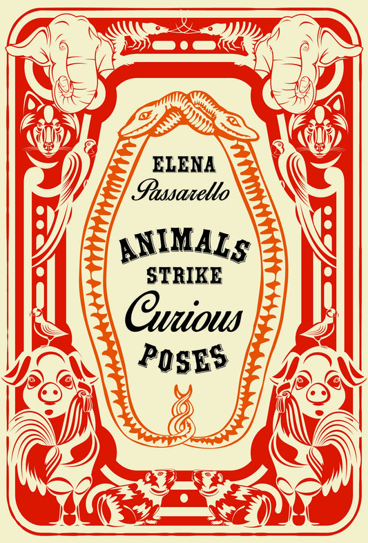 Animals Strike Curious Poses - 9275