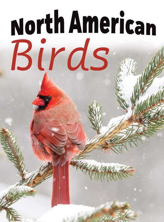 North American Birds (For Adults with Dementia and Other Life Challenges)