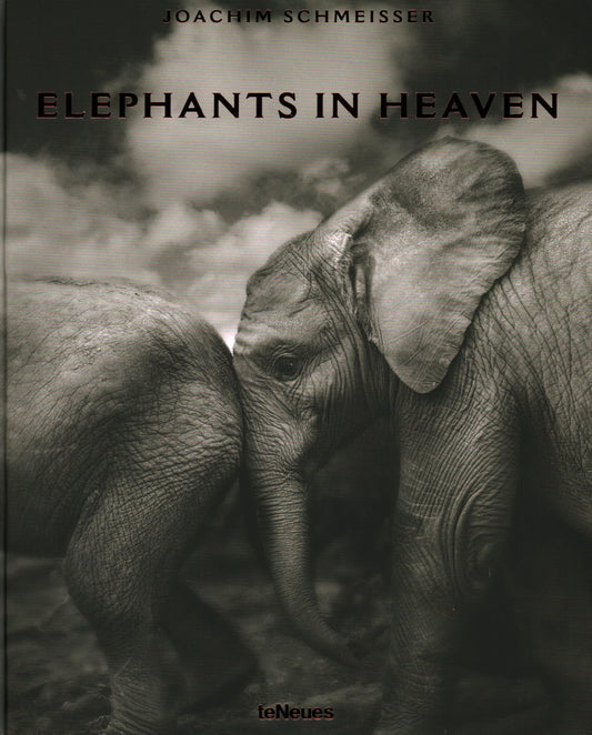 Elephants in Heaven - 5348