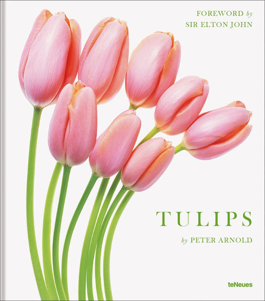 Tulips - 5432