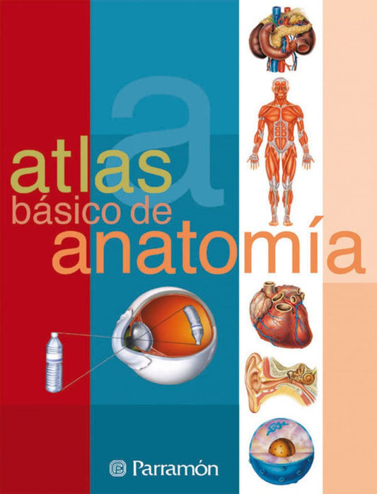 Atlas básico de anatomía (Spanish Edition)