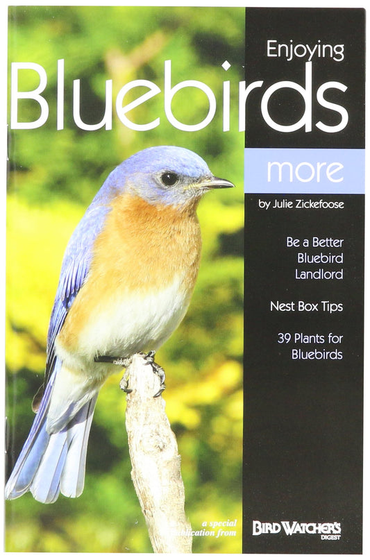 Bird Watchers Digest 315 Enjoying Bluebirds More by Julie Zickefoose - 7753