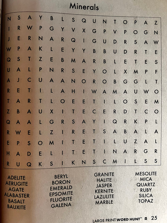PAPP Large Print Word Hunt (Assorted, Volume Numbers & Quantities Vary) All New Puzzles - 7449