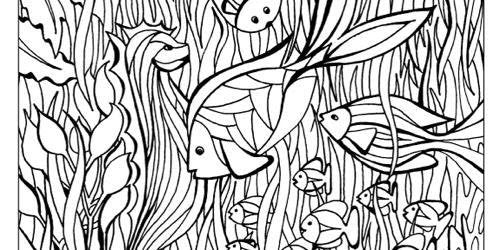 Cra-Z-Art Splash of Color Creative Coloring Book