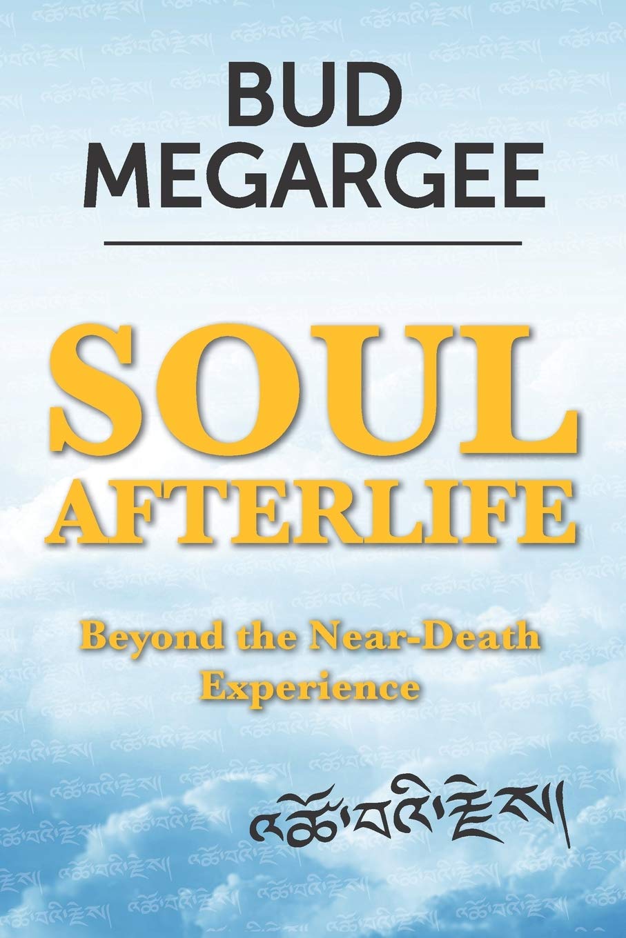 Soul Afterlife: Beyond the Near-Death Experience - 8665