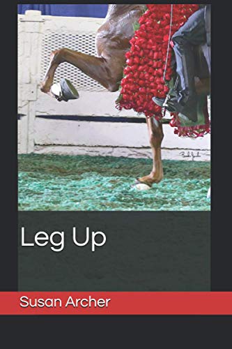 Leg Up: A Sequel to Victory Pass (Stake Night)