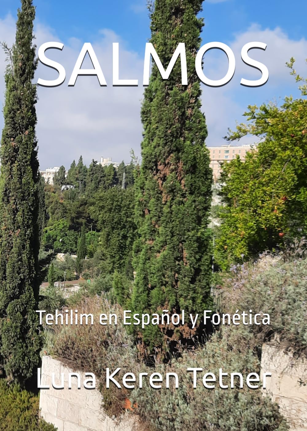 SALMOS: Tehilim en Español y Fonética (Spanish Edition)