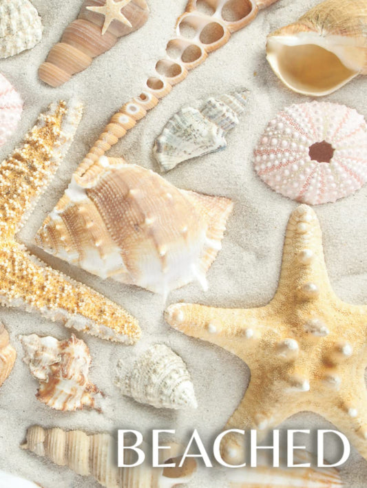 Beached: Decorative Book for Stacking on Coffee Tables & Bookshelves | Perfect for Coastal Themed Home Decor Interior Design & Staging (Beach House Series) - 8128