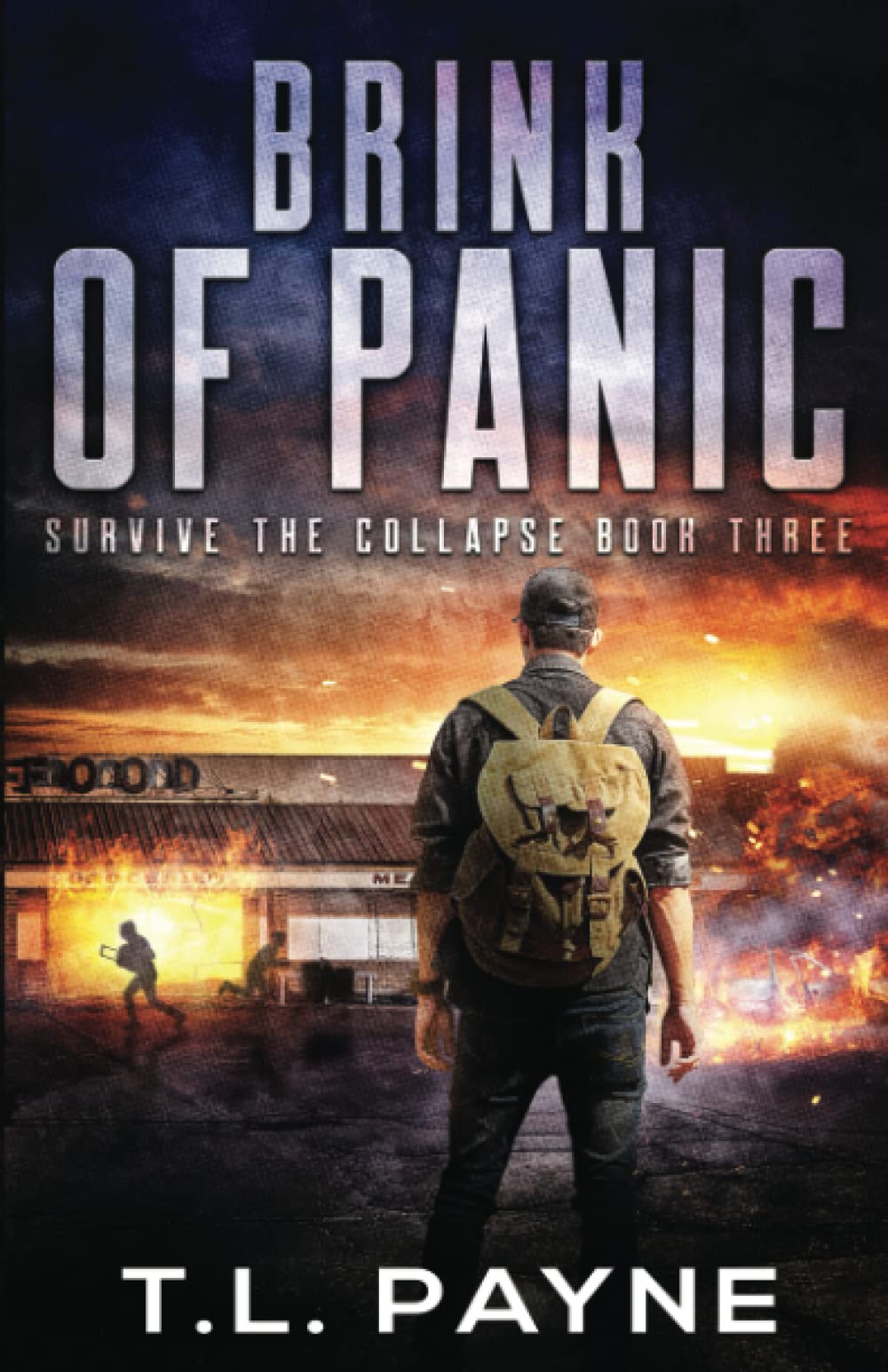 Brink of Panic: A Post-Apocalyptic EMP Survival Thriller (Survive the Collapse)