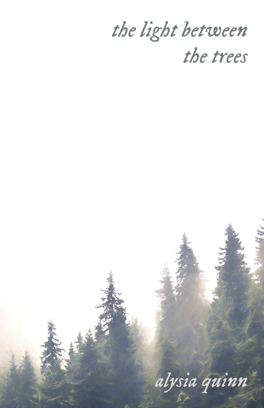 the light between the trees - 2192