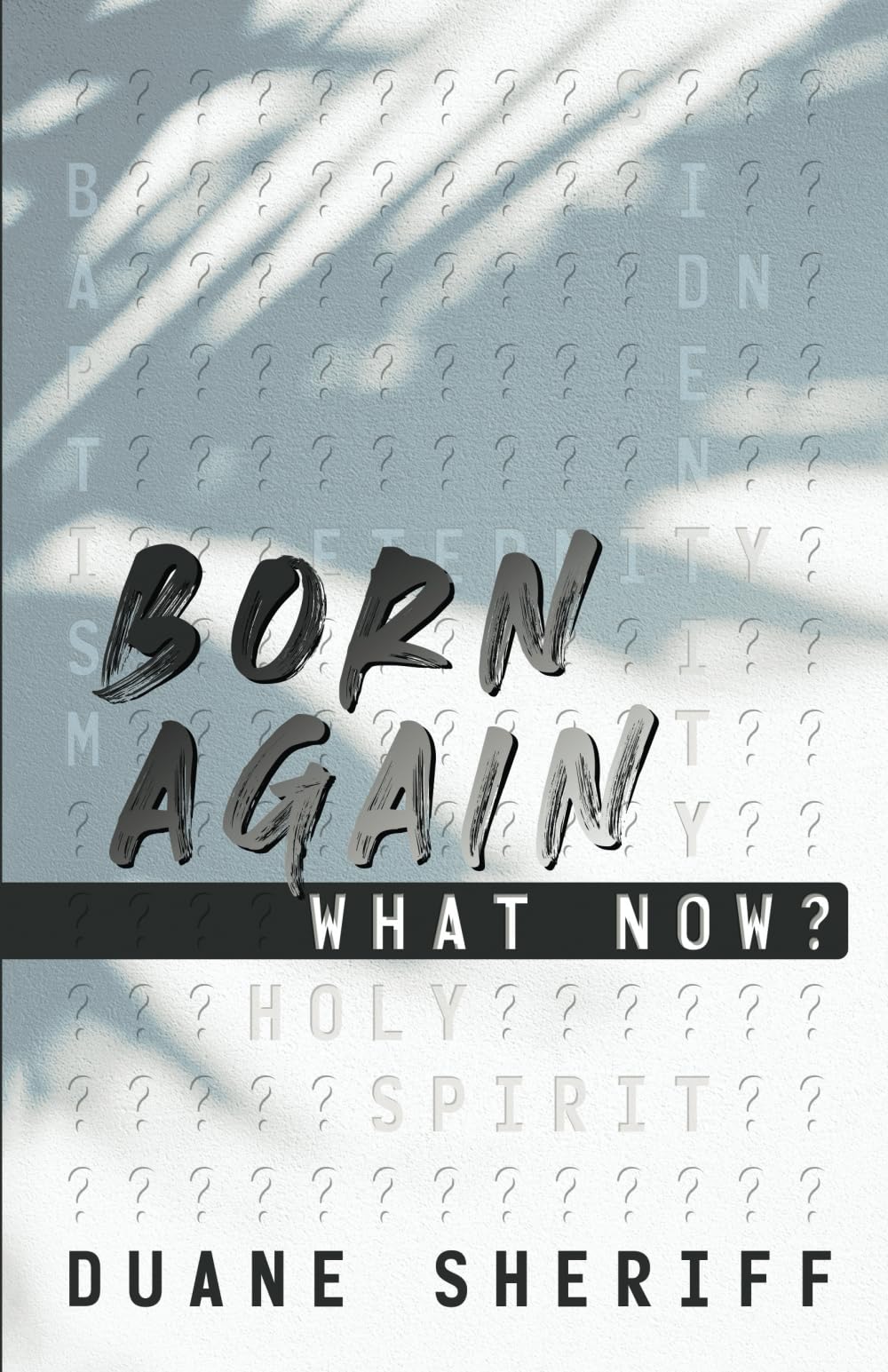 Born Again What Now? - 6267