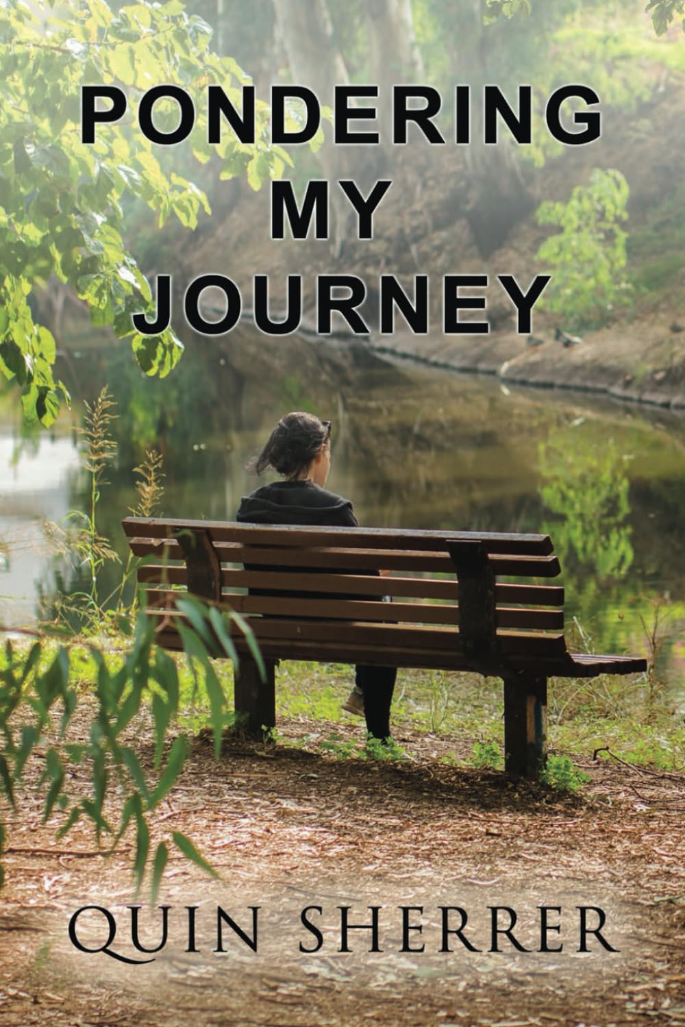 Pondering My Journey - 5006