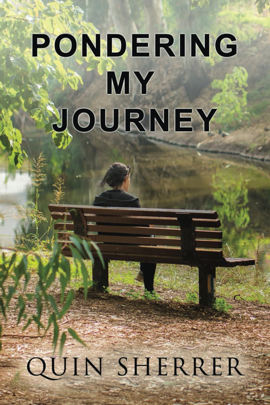 Pondering My Journey - 351
