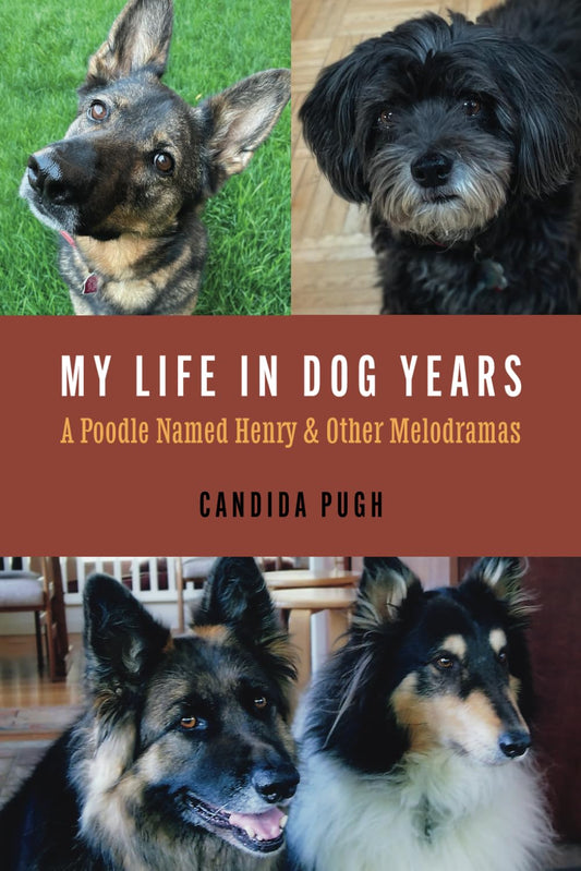 My Life in Dog Years: A Poodle Named Henry and Other Melodramas