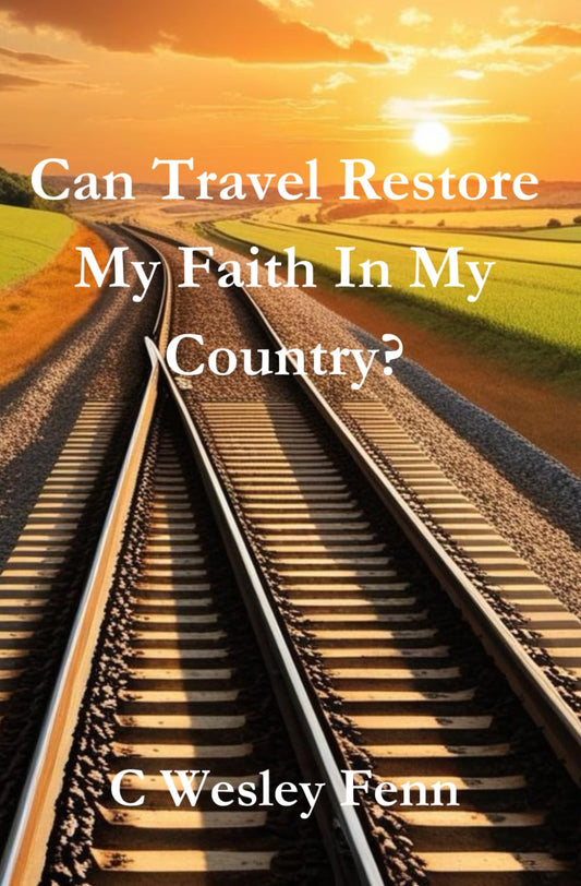Can Travel Restore My Faith In My Country?