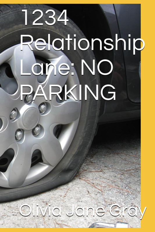 1234 Relationship Lane: NO PARKING - 4816