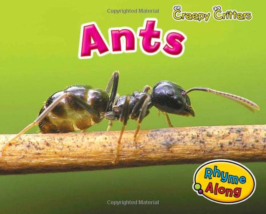 Ants (Creepy Critters) - 3767