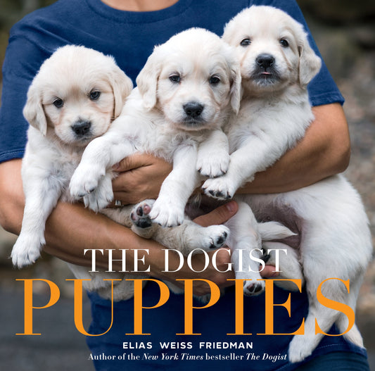 The Dogist Puppies - 6162