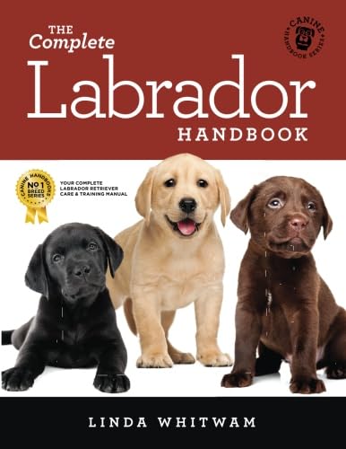 The Complete Labrador Handbook: The Essential Guide for New & Prospective Labrador Owners (Canine Handbooks) - 5596