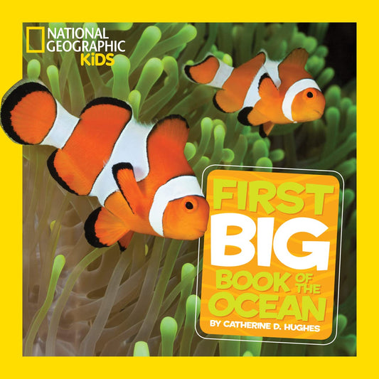 National Geographic Little Kids First Big Book of the Ocean (National Geographic Little Kids First Big Books) - 6054