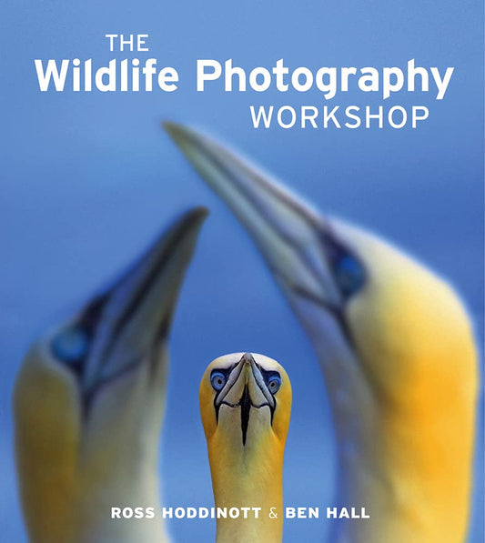 The Wildlife Photography Workshop - 8460