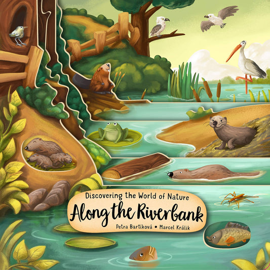 Discovering the World of Nature Along the Riverbank (Happy Fox Books) Board Book for Kids Ages 3-6 to Learn About Animals Living In, Near, or Under Water, plus Fun and Educational Facts (Peek Inside) - 5581