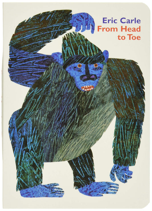 From Head to Toe Board Book - 8536