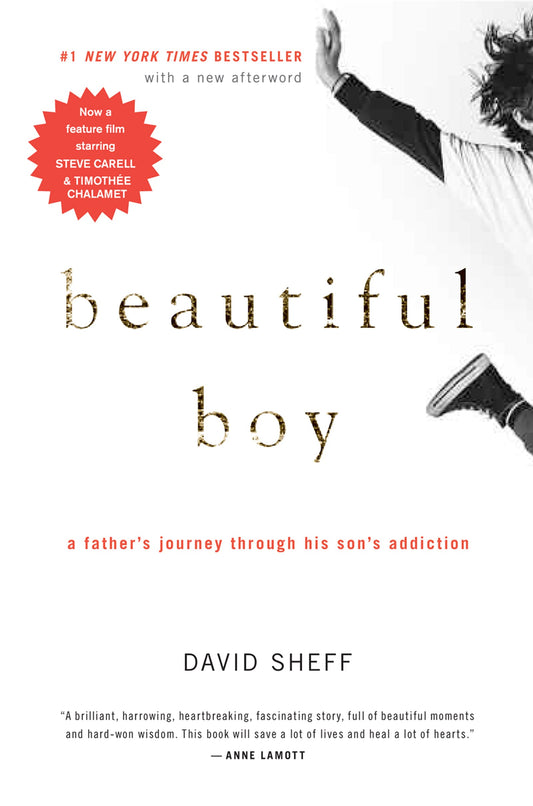 Beautiful Boy: A Father's Journey Through His Son's Addiction - 5506