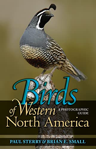 Birds of Western North America: A Photographic Guide (Princeton Field Guides, 56) - 4241