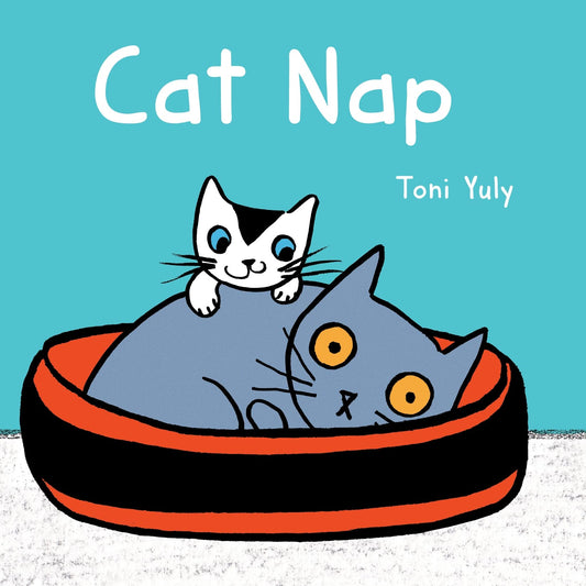 Cat Nap - 5428