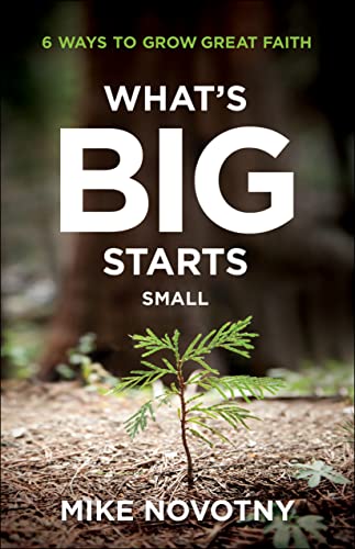 What's Big Starts Small: 6 Ways to Grow Great Faith - 3459
